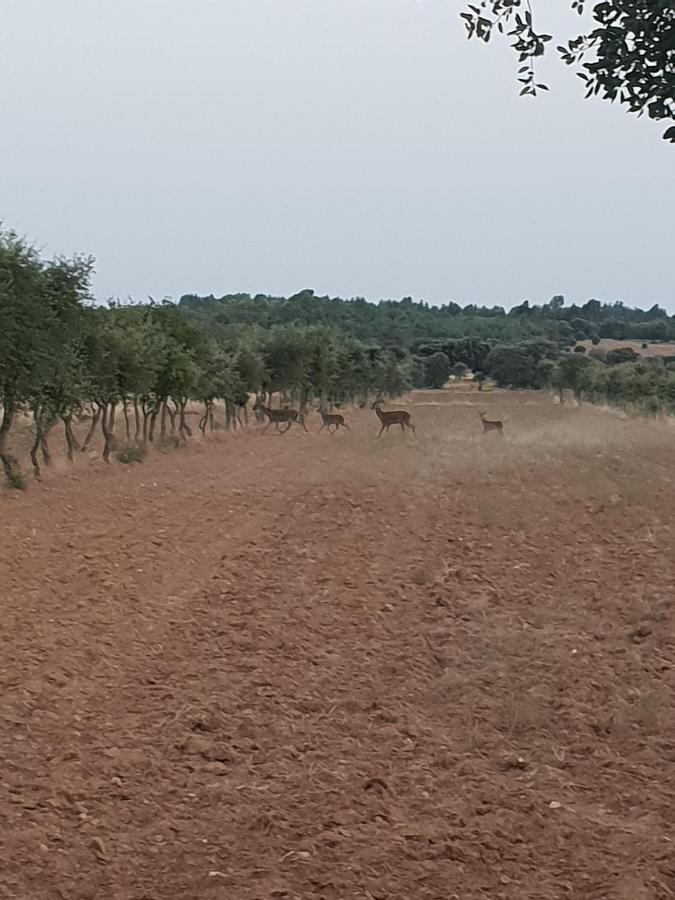 Herdade Clube Tiro Monfortinho Eksteriør bilde