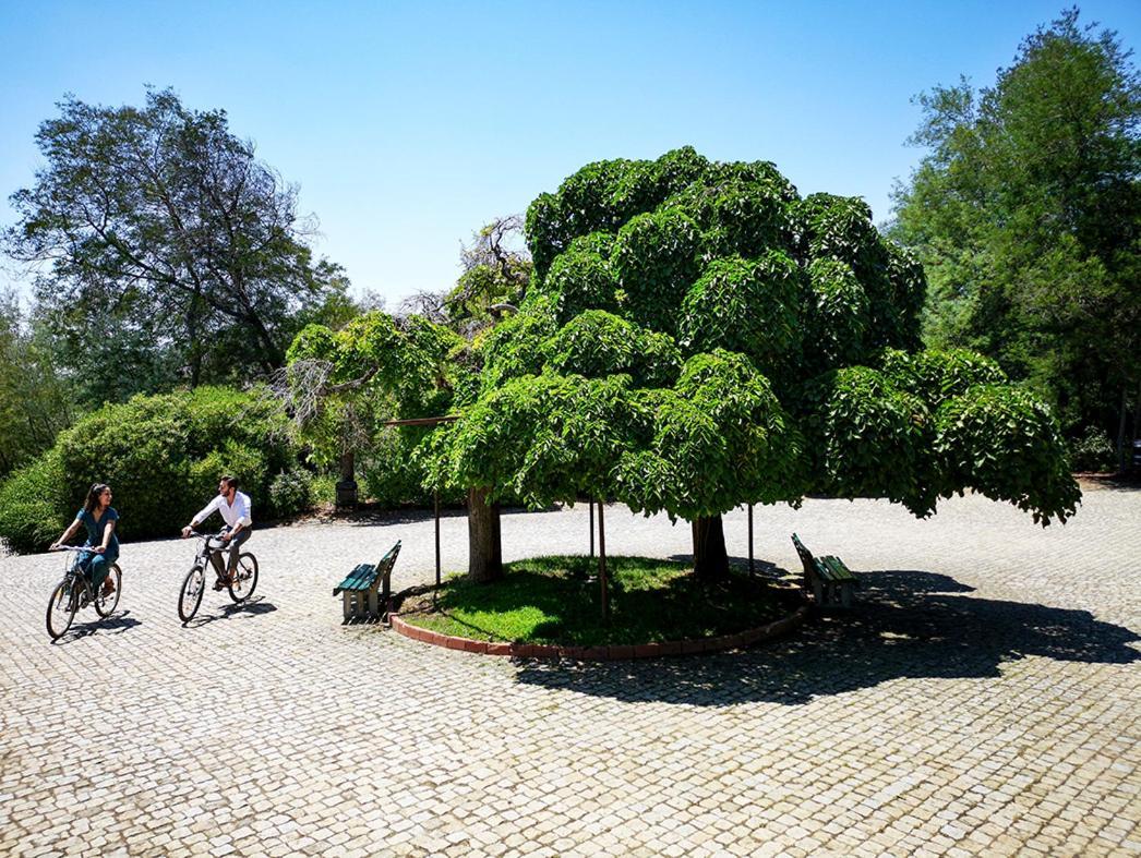Herdade Clube Tiro Monfortinho Eksteriør bilde